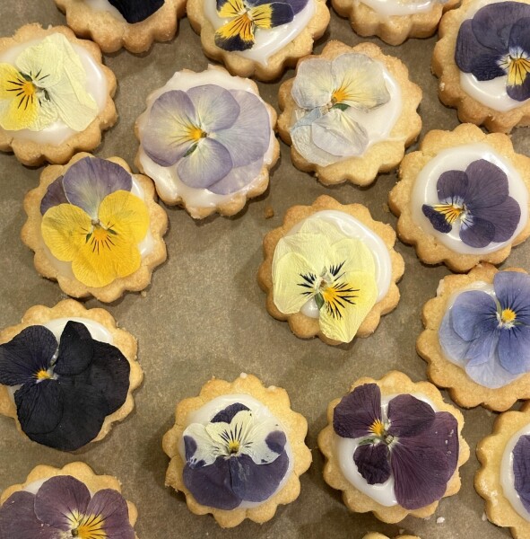 unnamed - 2026-01-31T101108.013