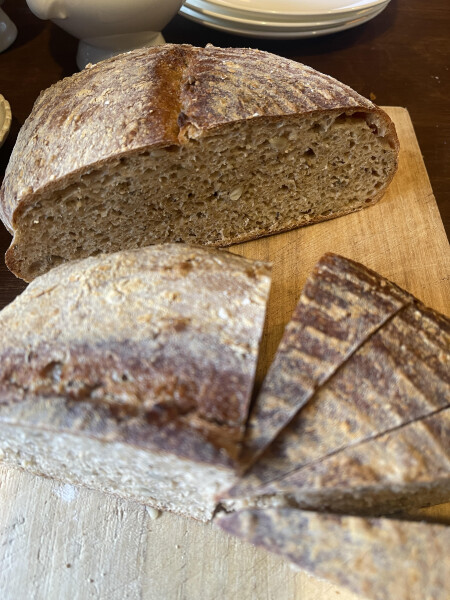 unnamed - 2026-01-31T110328.528